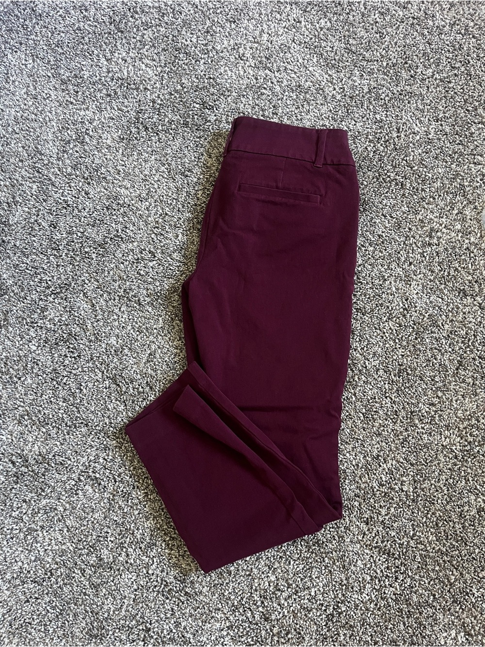 LOFT Women's Pants in Deep Wine